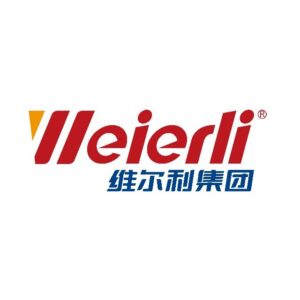 维尔利集团 Logo